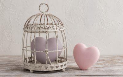Dépendance affective, fuite, 4 types de relations